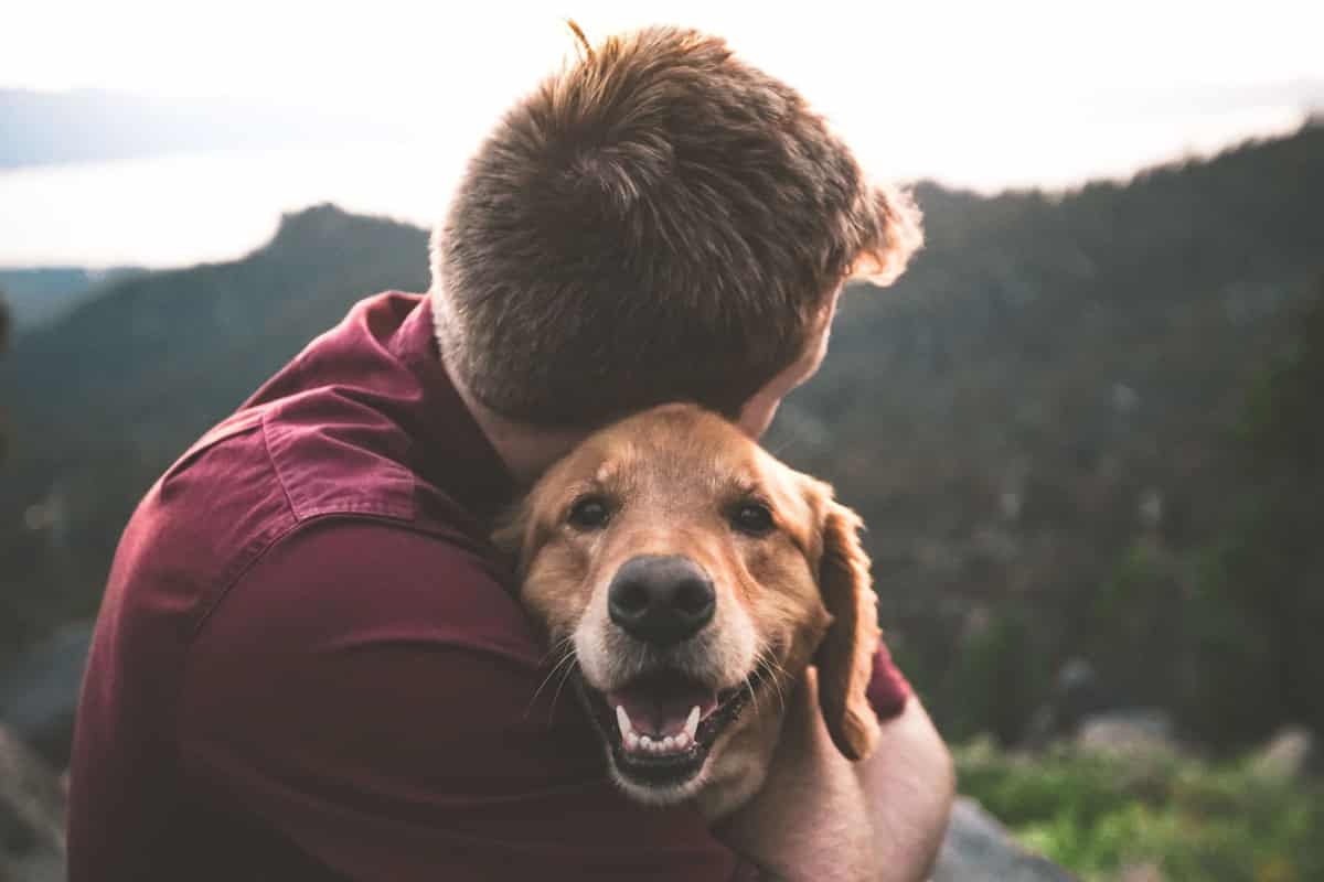 Can I Include a Pet in My Will? - Lawpath