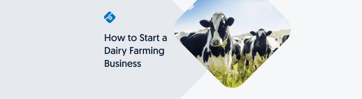 How to Start a Dairy Farming Business