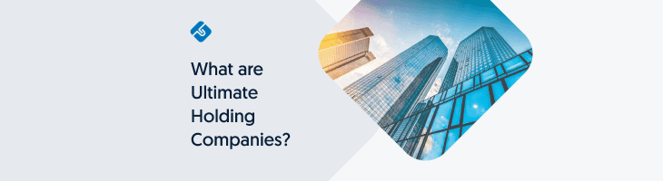 What Are Ultimate Holding Companies? (2021 Update)