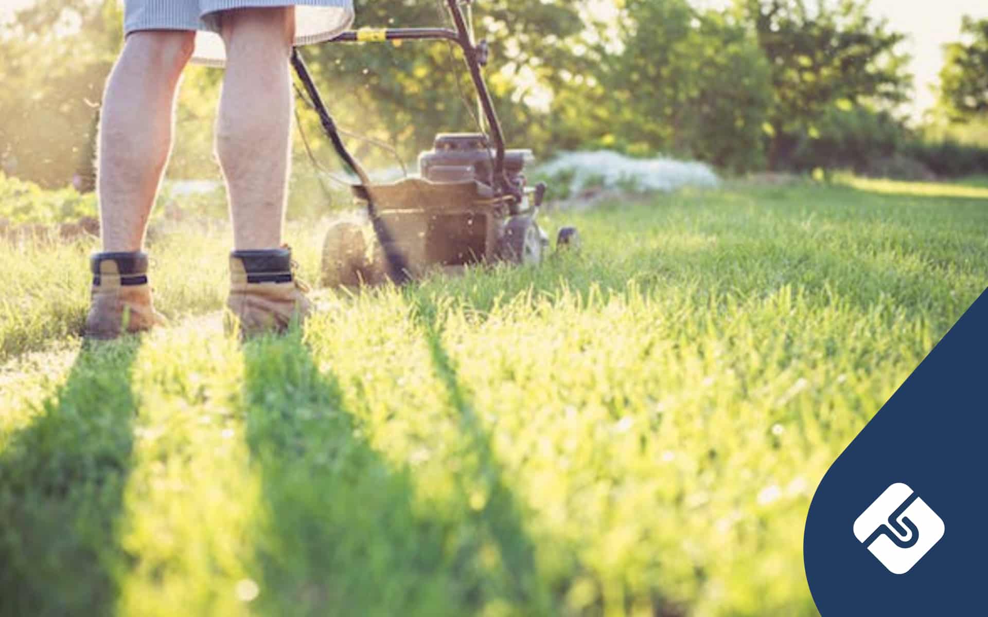 How to Start a Lawn Mowing Business